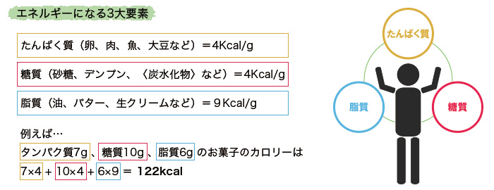 エネルギーになる3大要素