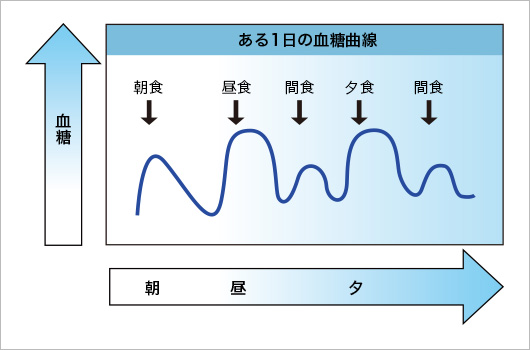 食事と血糖値の関係