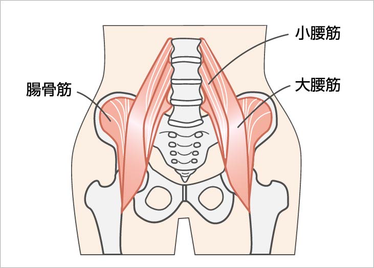 腸腰筋