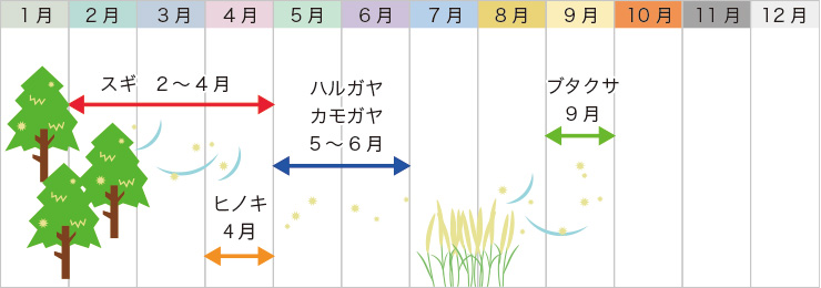 しっかり対策。花粉症の季節を乗り切ろう！