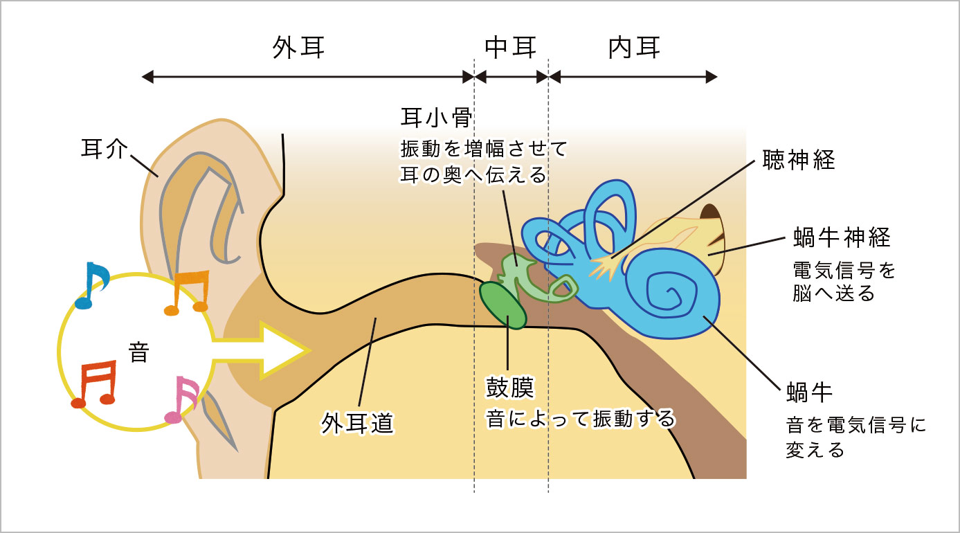 耳鳴り 治っ た 人 いま すか