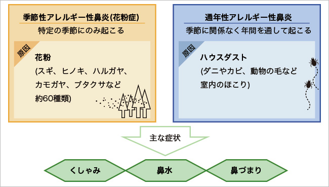 アレルギー性鼻炎の原因と主な症状