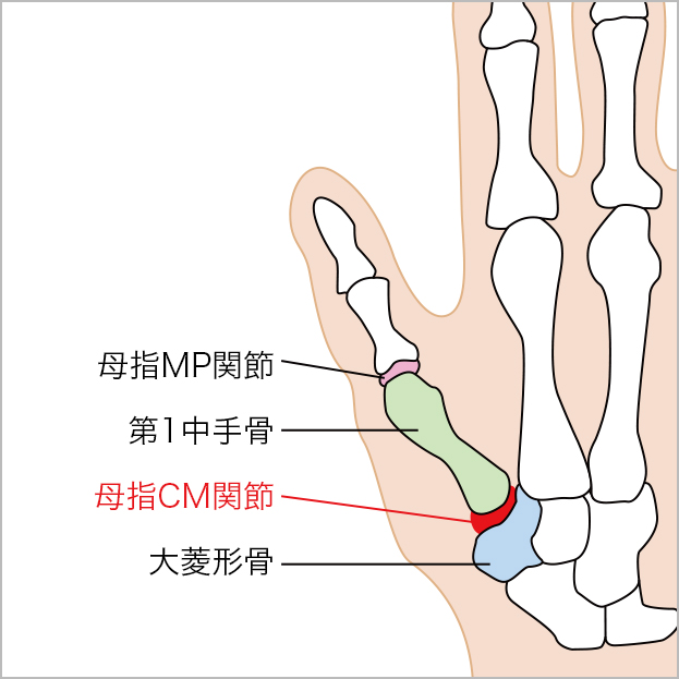 関節説明