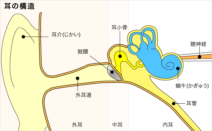 小児難聴 しょうになんちょう 社会福祉法人 恩賜財団 済生会