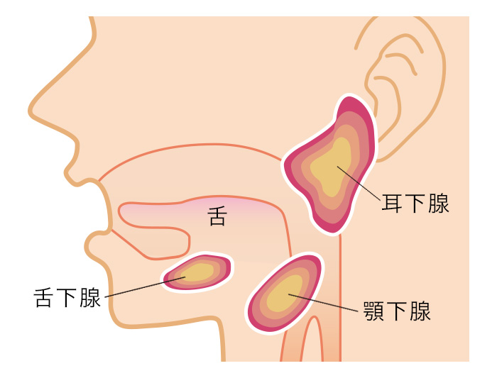 の しこり 耳 周り