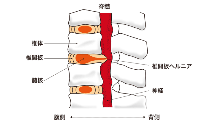 ソース画像を表示