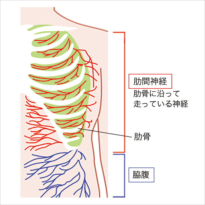 右 脇腹 痛み チクチク