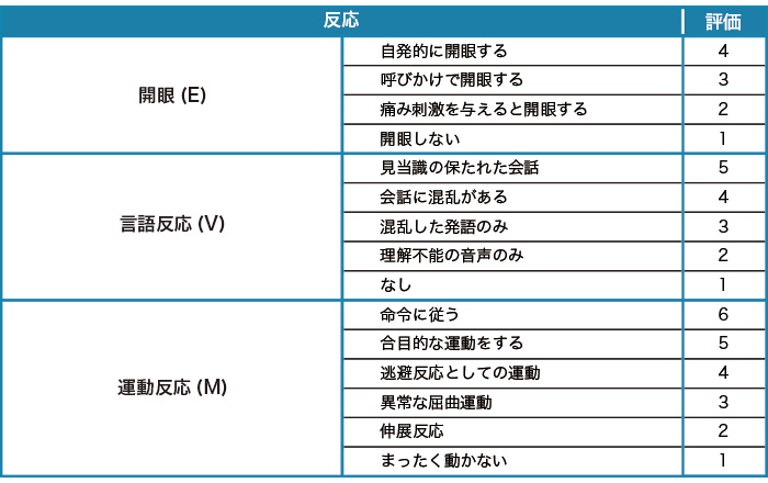 Glasgow Coma Scale(GCS)