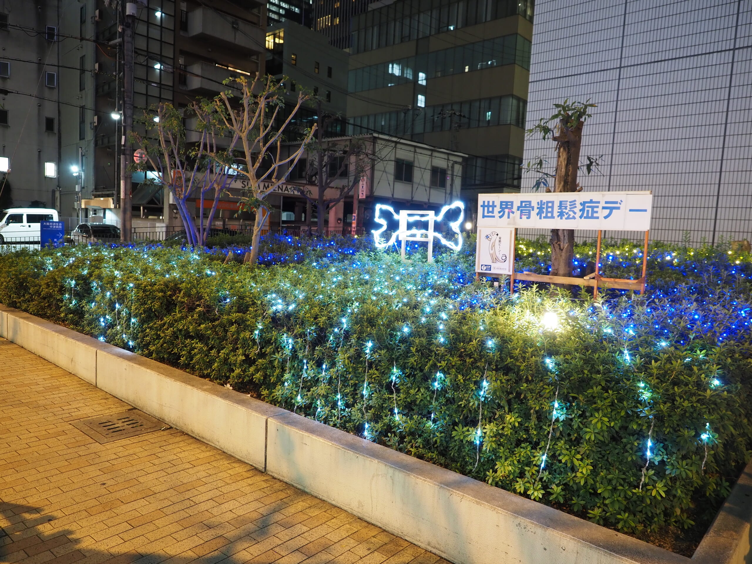 病院入口が骨粗鬆症のシンボルカラーである青色でライトアップされている写真
