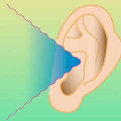 原因を知ることが治療 知っておきたい耳鳴りのこと
