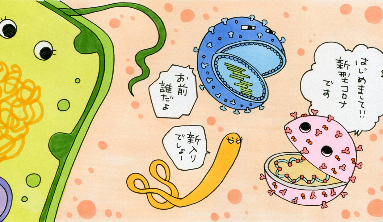 そもそも、ウイルスってなに？ | 済生会