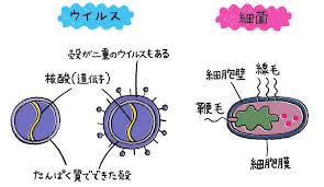 そもそも、ウイルスってなに？