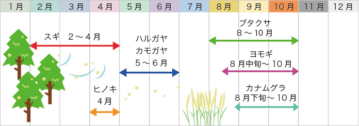 花粉の飛散時期の図