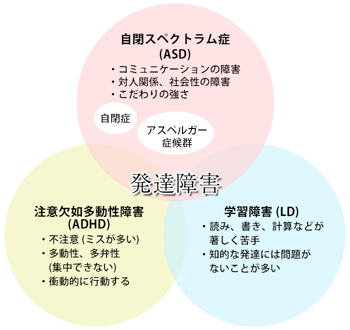 発達障害の分類