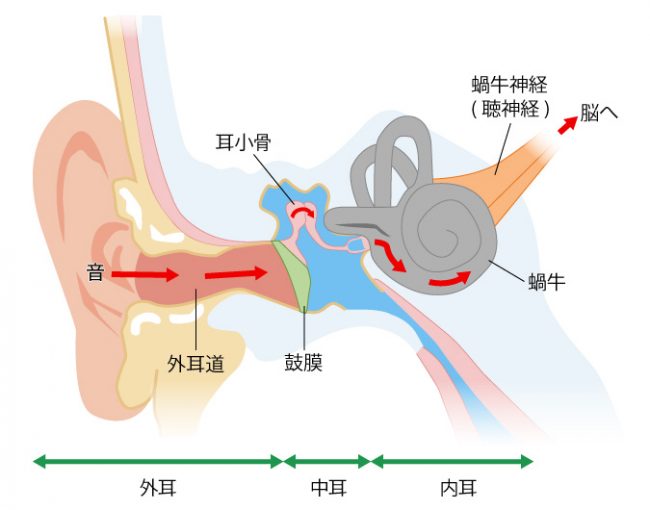 音が聞こえるしくみ