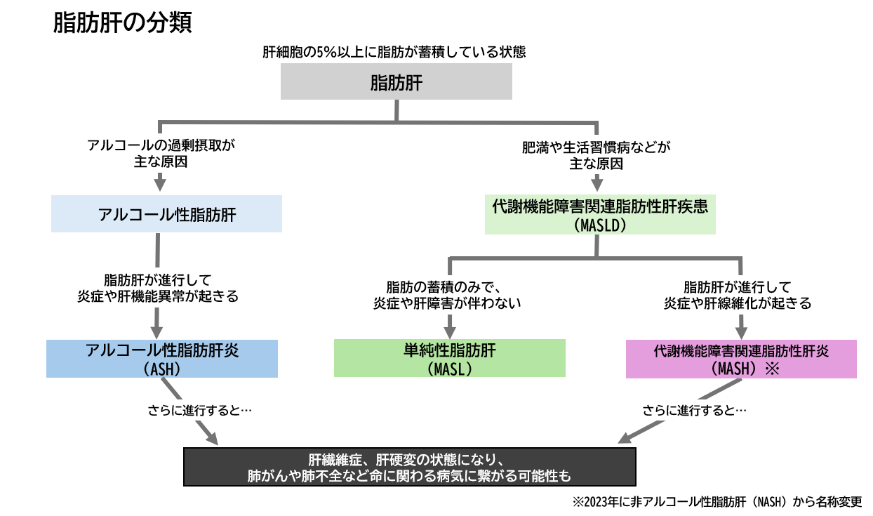 MASH(マッシュ) (まっしゅ)とは | 済生会