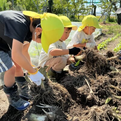 手伝ってできた！ 格別においしい芋煮
