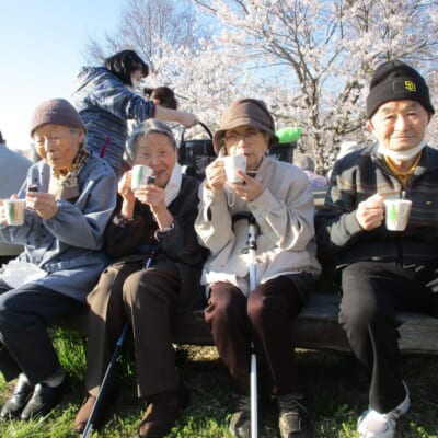 近隣の桜の名所にみんなでお出かけ
