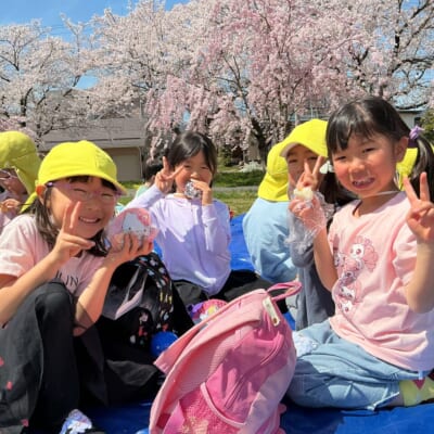 クラスごとに近くの桜の名所でお花見
