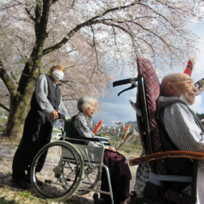 リフトバスが馬見ヶ崎川桜ラインと高瀬川鯉のぼり等ビュースポットを運行！